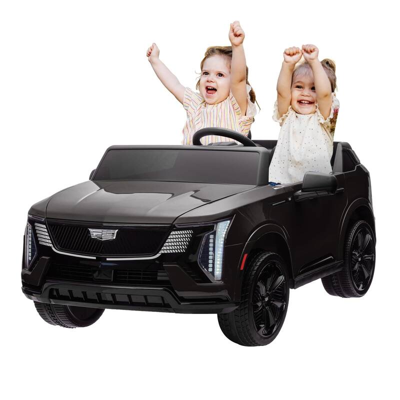 2 Seater Ride on Car for Kids 24V Electric Car Toy - Black