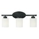 preview thumbnail 5 of 4, Dixon 20-inch 3-light Bath/ Vanity Fixture w/ Soft White Glass