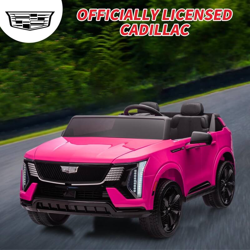 2 Seater Ride on Car for Kids 24V Electric Car Toy