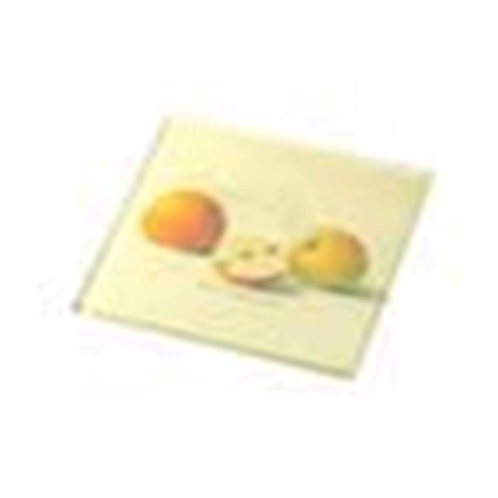 Glass Fruit Coasters S/4- A - A