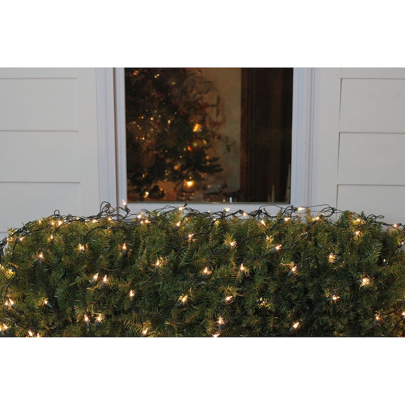 Mini Net Style Christmas Lights - 4' x 6' - Clear - Green Wire