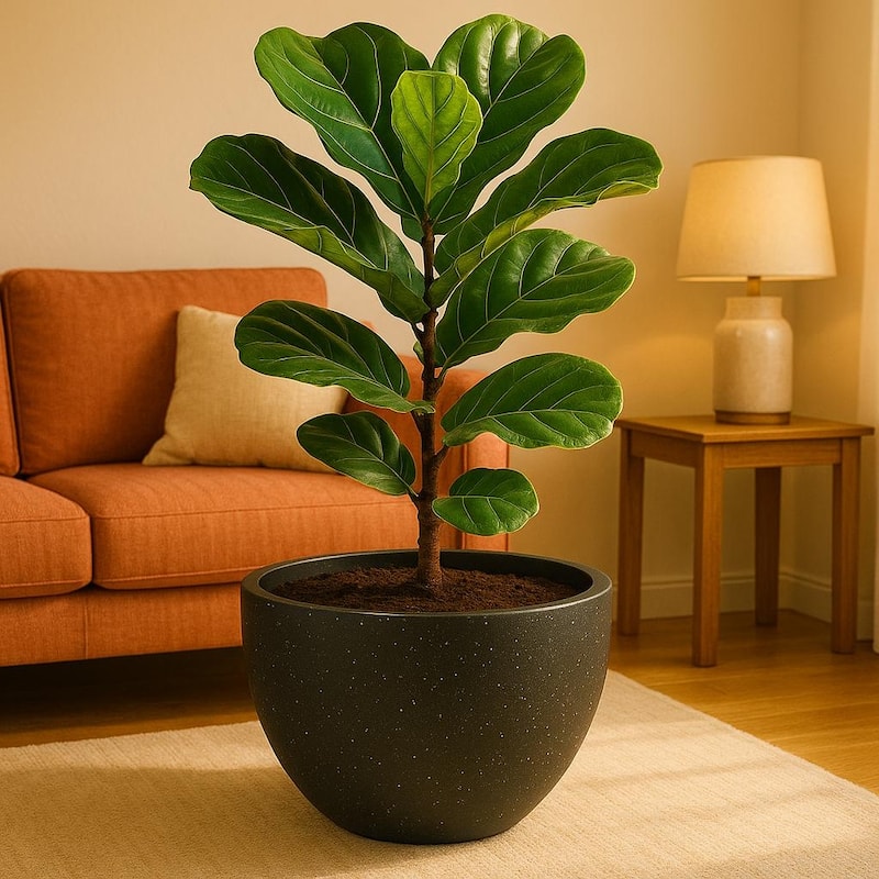 Iris Modern Round Planter Sleek Fiberstone & MgO Clay Pot with Drainage - Weather-Resistant All-Season Indoor/Outdoor Decor