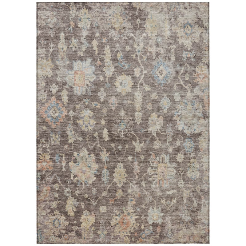 Machine Washable Indoor/ Outdoor Casual Traditional Chantille Rug
