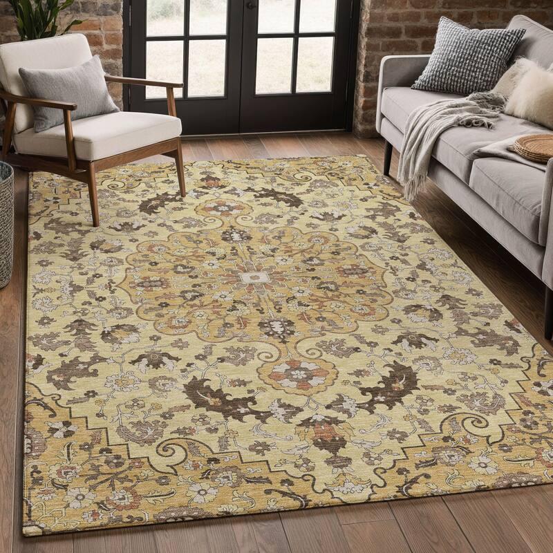 Machine Washable Indoor/ Outdoor Traditional Indore Chantille Rug