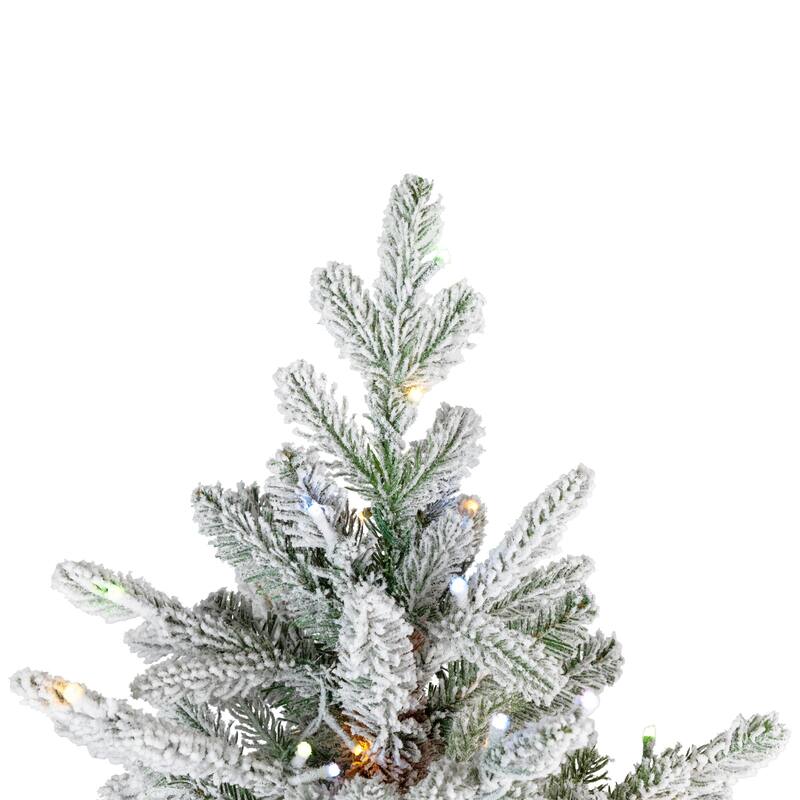 Real Touch™ Elite Pre-Lit Flocked Kodiak Pine IPT Artificial Christmas Tree - 6' Dual Color LED - 6 Foot