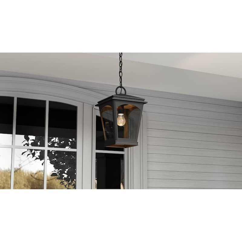 Huck 1-Light Earth Black Outdoor Hanging Lantern