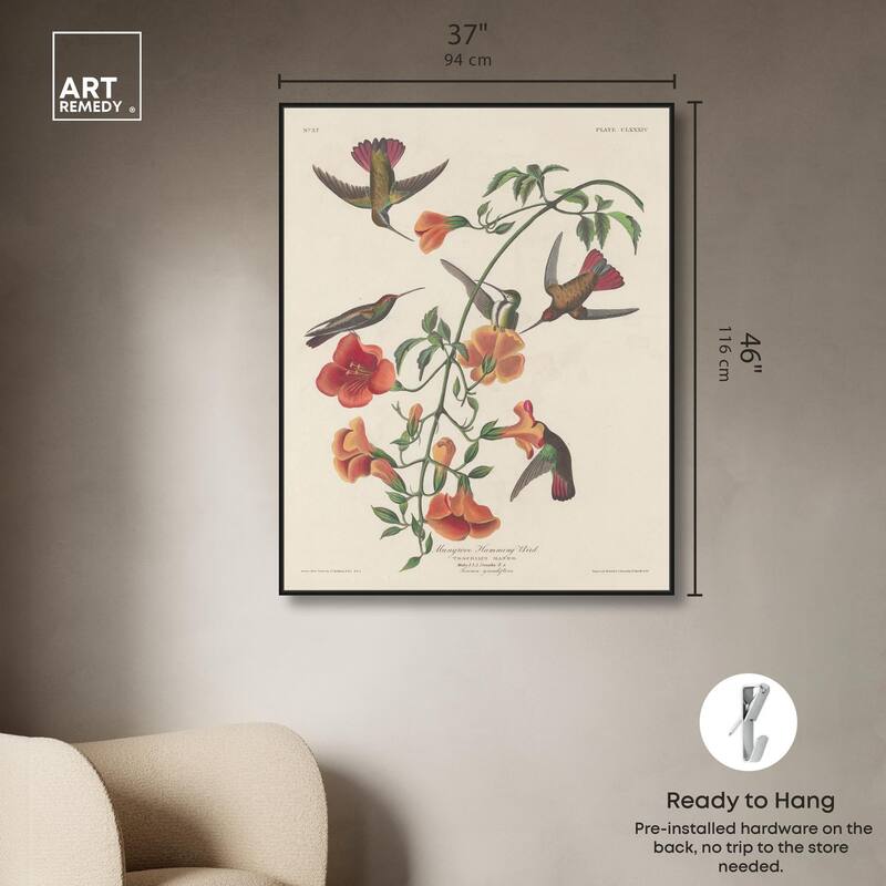 Humming Bird 1834 Canvas by Art Remedy