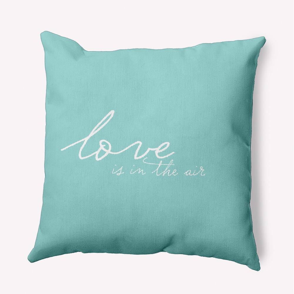 Love in the Air Valentine's Day Decorative Indoor/Outdoor Pillow