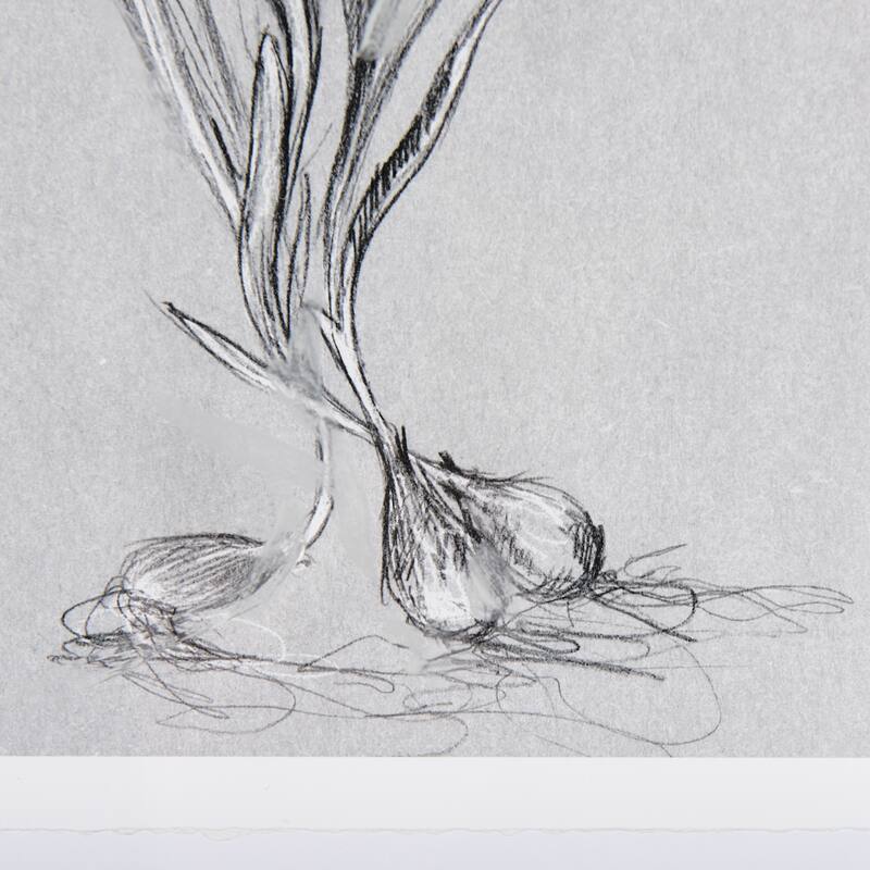 Botanical Sketches III (Grey) Framed Art Print