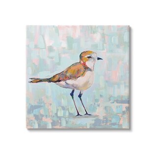 Stupell Industries Leinwand-Wandkunst „Coastal Plover“ – 43,2x43,2 Cm, Abstrakt, Fertig Zum Aufhängen