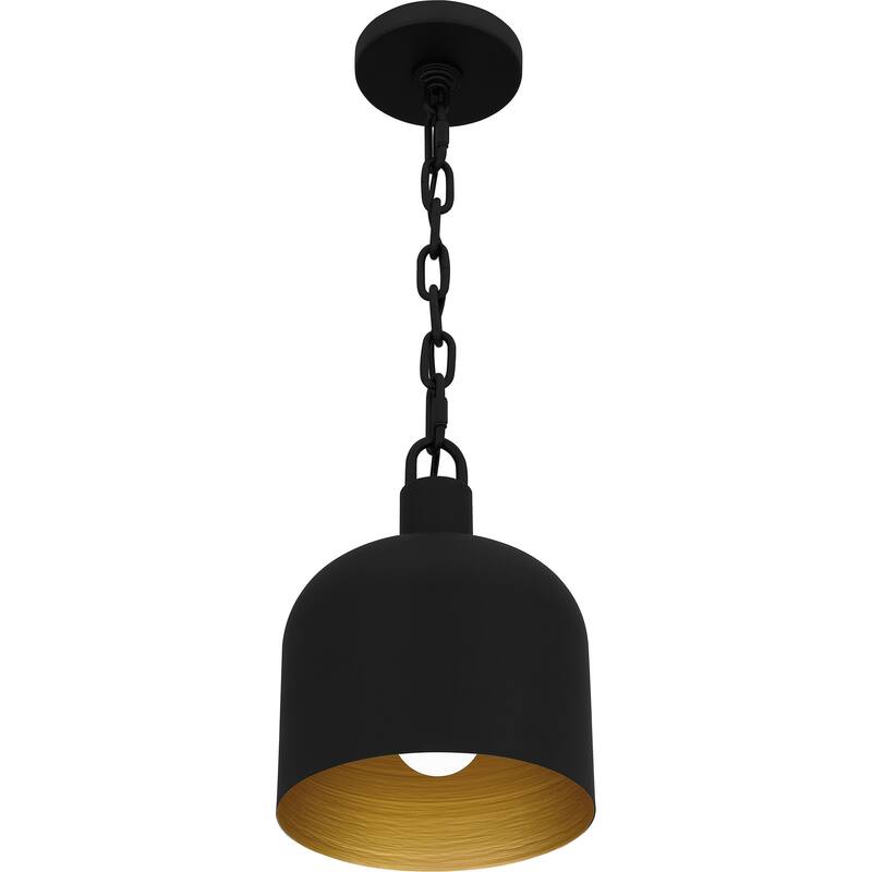 Raquel 1-Light Matte Black Mini Pendant Light