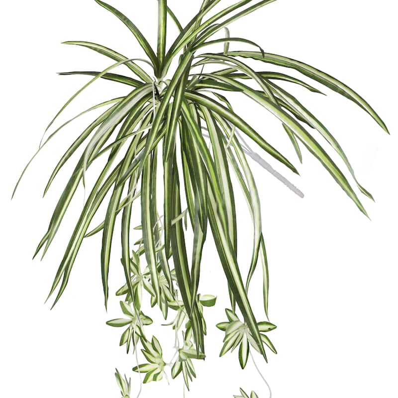 Set of 2 Artificial Spider Plant Leaf Hanging Greenery Foliage Bush 25in - 25" L x 12" W x 2.5" DP - 25" L x 12" W x 2.5" DP