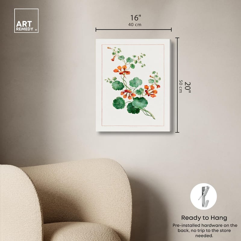 Nasturtium (1788) Canvas by Art Remedy, Gallery Wrapped