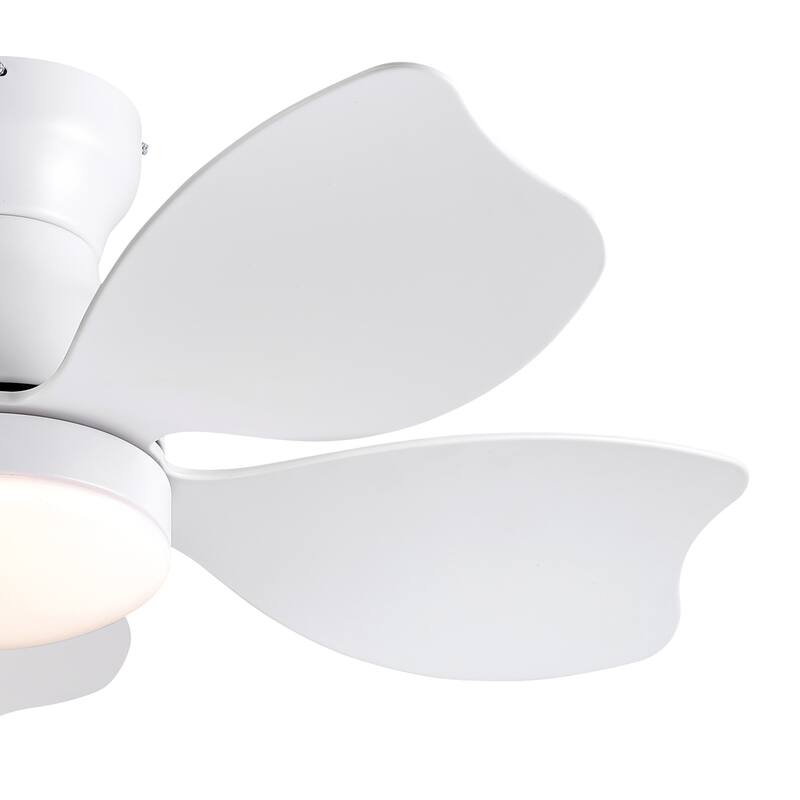 Modern Small Ceiling Fan Light with 3 Color Temperatures and 5 Blades, 6 Adjustable Wind Speeds for Bedroom and Living Room
