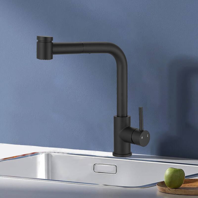 Topcraft Single Handle Pull-Out Stainless Steel Kitchen Faucet