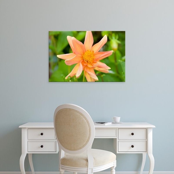 Easy Art Prints Paul Thompson's 'Orange Dahlia' Premium Canvas Art