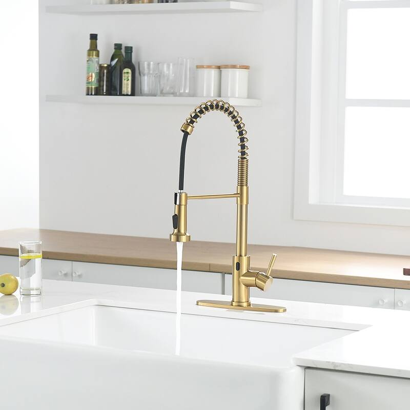 Kitchen Faucet with Battery Control Valve