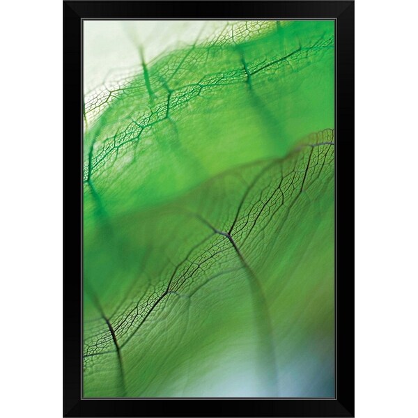 "Close-up of dried leaves" Black Framed Print