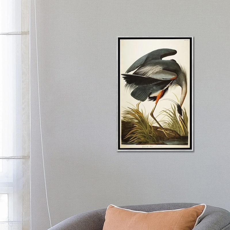 iCanvas "Great Blue Heron " by John James Audubon Framed