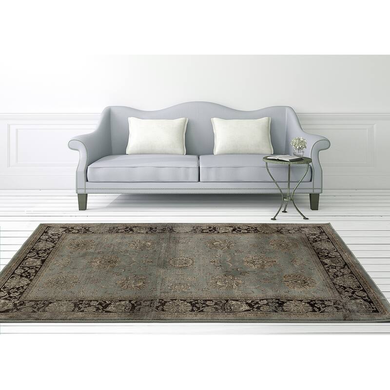 Antique Collection Traditional Area Rug