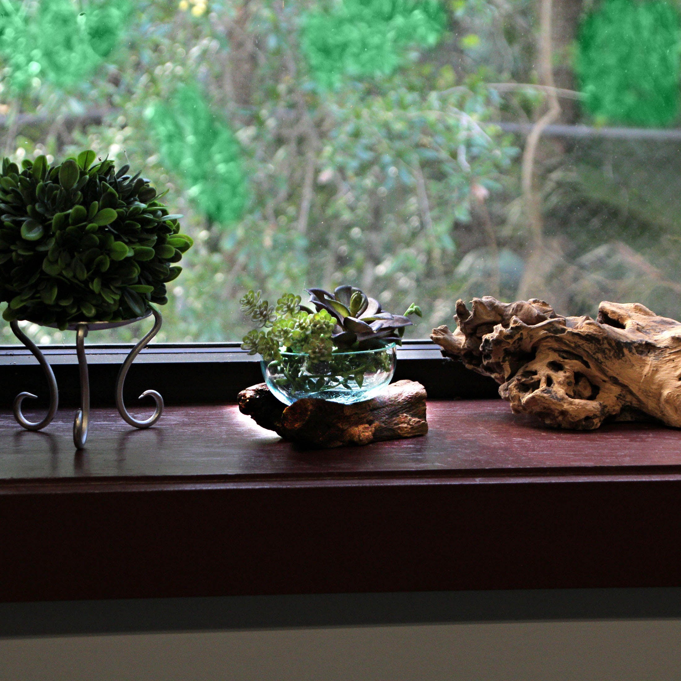 Glass And Teak Driftwood Bowl 3.25" High Decorative Succulent - Bed