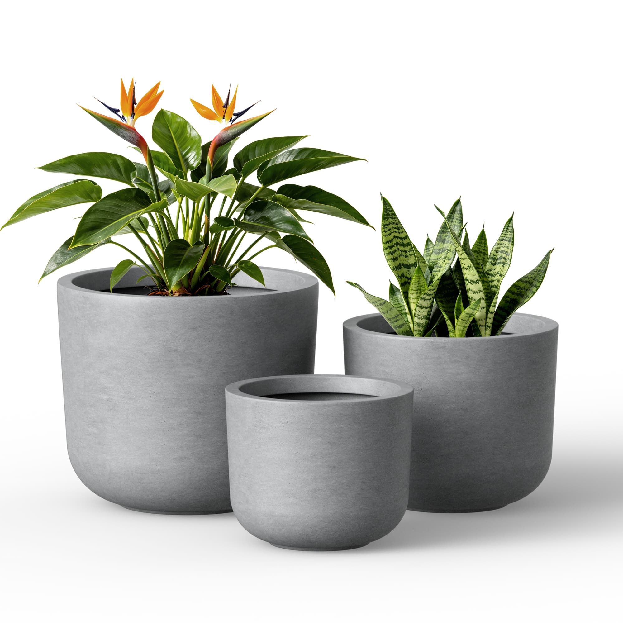 Option Medium Gray