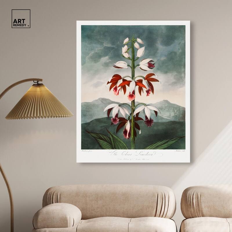 The China Limodoron 1807 Canvas by Art Remedy, Gallery Wrapped