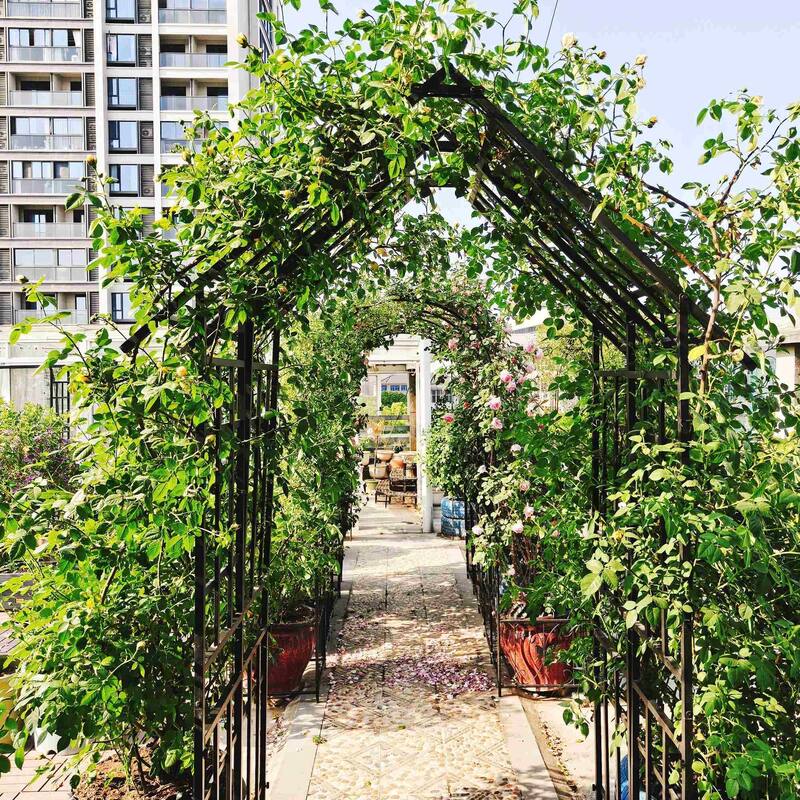 Adjustable Metal Arch Trellis for Climbing Garden Plants