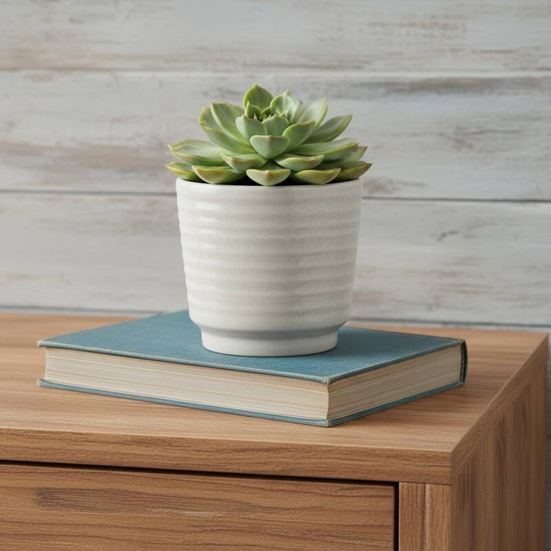 HomeRoots White Ceramic 23 Ounce Round Distressed Pot Planter - 4.50 in. x 4.25 in. x 4.50 in. - White - 4.50 in. x 4.25 in. x 4.50 in.