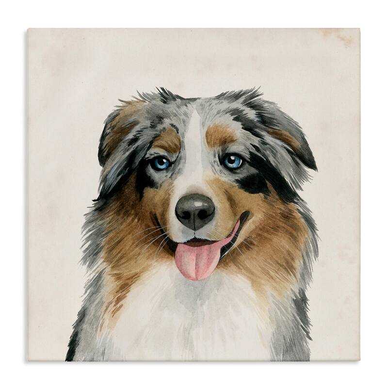 Stupell Soft Charming Australian Shepard Dog Portrait Canvas Wall Art - Multi-Color - 17 x 17