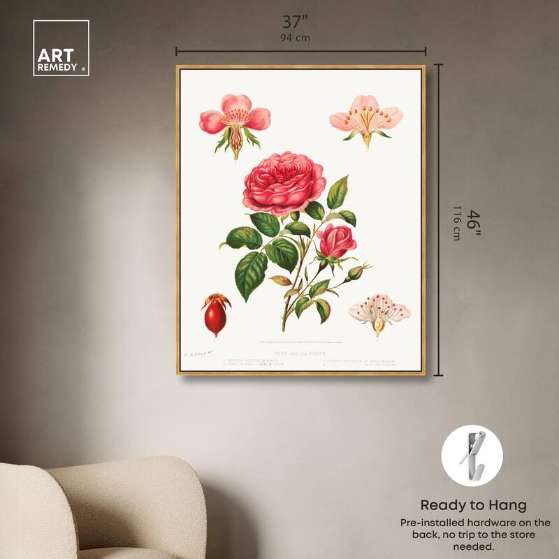 Rose and its parts (1872) Canvas by Art Remedy