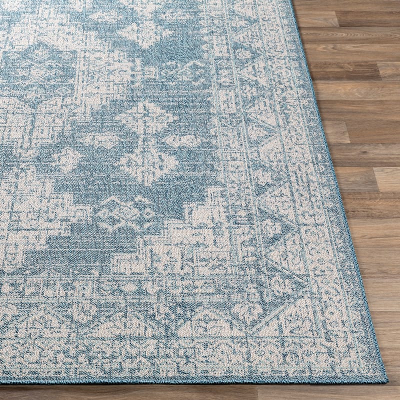 Susannah Indoor / Outdoor Updated Traditional Area Rug