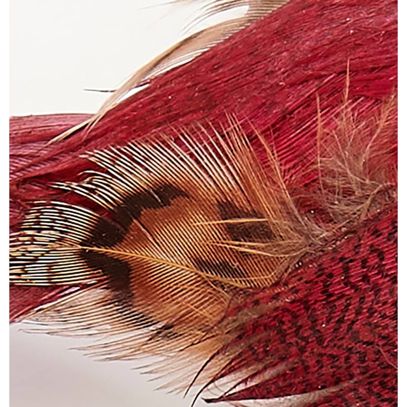 4.5" Feathered Bird with Metal Clip, Burgundy, Set of 6 - 4.5