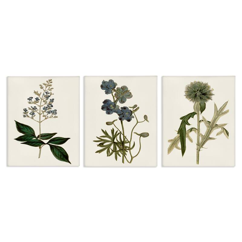 Stupell Vintage Blue Botanical Flowers on Beige, 3pc Multi Piece Canvas Wall Art Set - 11 x 14