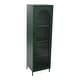 preview thumbnail 35 of 51, Solstice Metal Cabinet with 3 Adjustable Storage Shelves and Arched Glass Door Tall Cabinet - Green