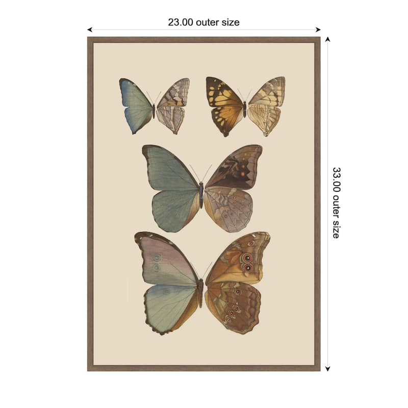 Kate and Laurel Exotische schmetterlinge Pl 067 by Otto Staudinger by Nostalgia Prints Framed Canvas Wall Art Print