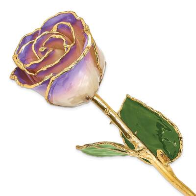 Curata Lacquer Dipped Gold Trimmed White and Blue Opal Real Rose