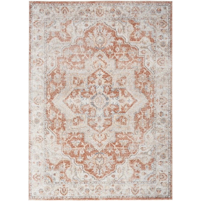 Nourison Astra Machine Washable Distressed Area Rug