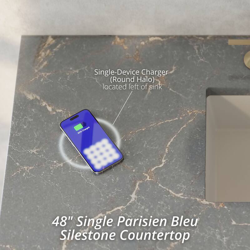 Brookfield 48" Single Vanity, Black Onyx w/FreePower Wireless Charger - Parisien Bleu