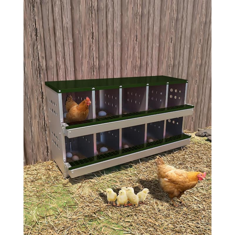 10-Compartment Metal Chicken Nesting Box, Waterproof Egg Laying Box - Green 10 Compartments