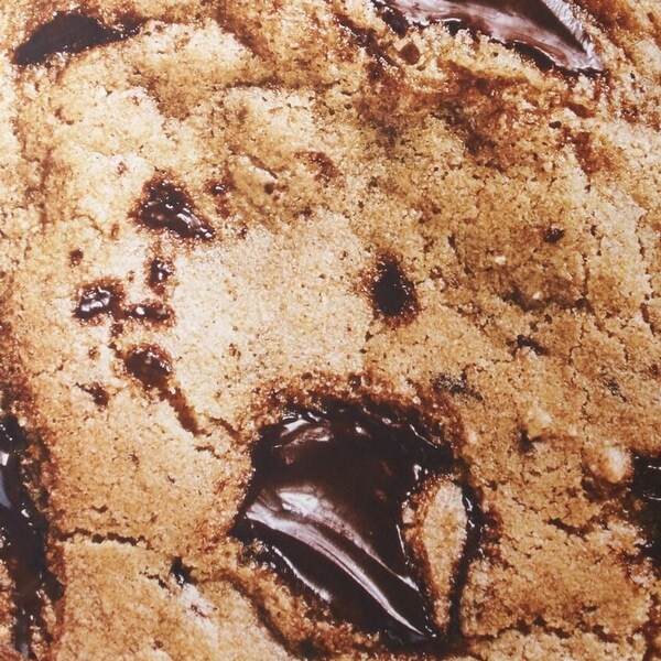 Chocolate chip cookie on sale blanket