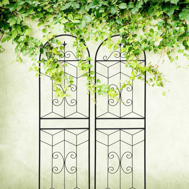 4 Pack Metal Garden Trellis 71" x 19.7" Rustproof Trellis for Climbing Plants Outdoor Flower Support