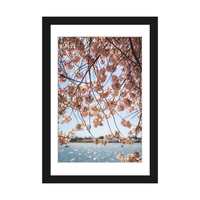 iCanvas "Washington DC Cherry Blossoms II" by Ann Hudec PFA