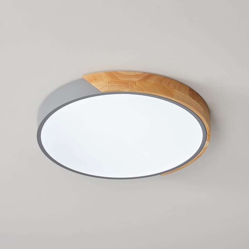 Modern Simple Circle LED Flush Mount Ceiling Light Fixture