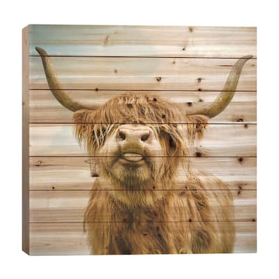 Highland Cow Print On Wood by Mark Gemmell - Multi-Color