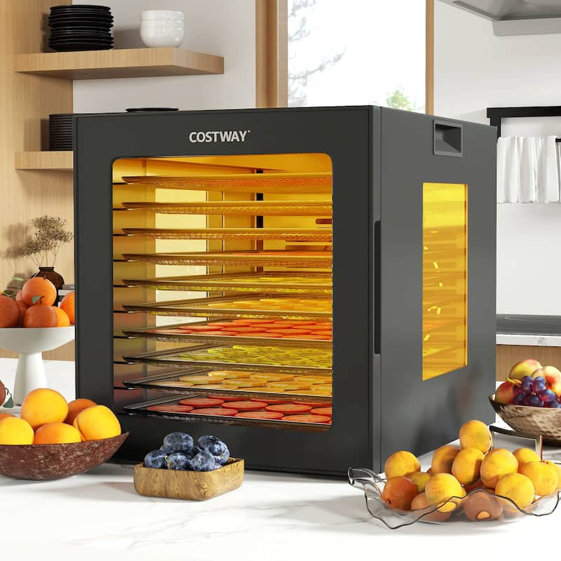 Costway 10 Stainless Steel Trays Dryer with 10 Presets 48H Timer - See Details