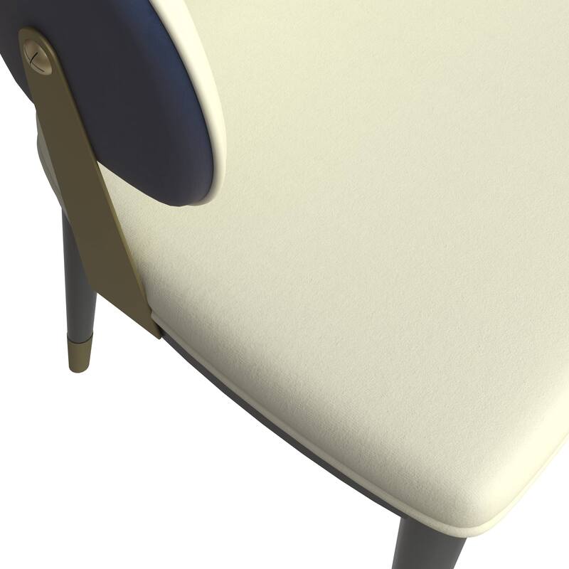 Leather Dining Chair in Iron Set of 2 with Gold Accents Design Modern Ergonomic Side Arm Chair