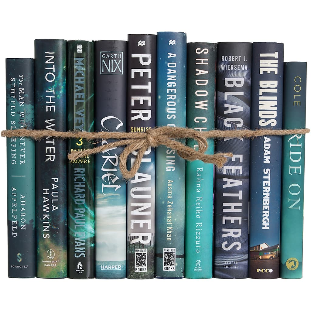 Books Blue Decorative Accessories: Caribbean Nightfall Dust Jacket ColorPak