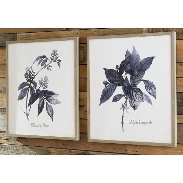 Efren Botanical Framed Canvas Wall Art Set - Set of 2. Opens flyout.