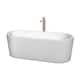 Option White / Brushed Nickel Trim